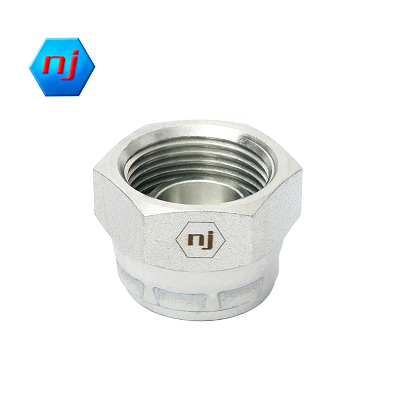 Adattatore idraulico BSP femmina 60° con sede a innesto 9B 1