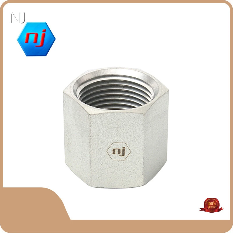 Quality NJ Brand Stainless Steel Pipe Adapters Carbon Steel PIPE CAP 1
