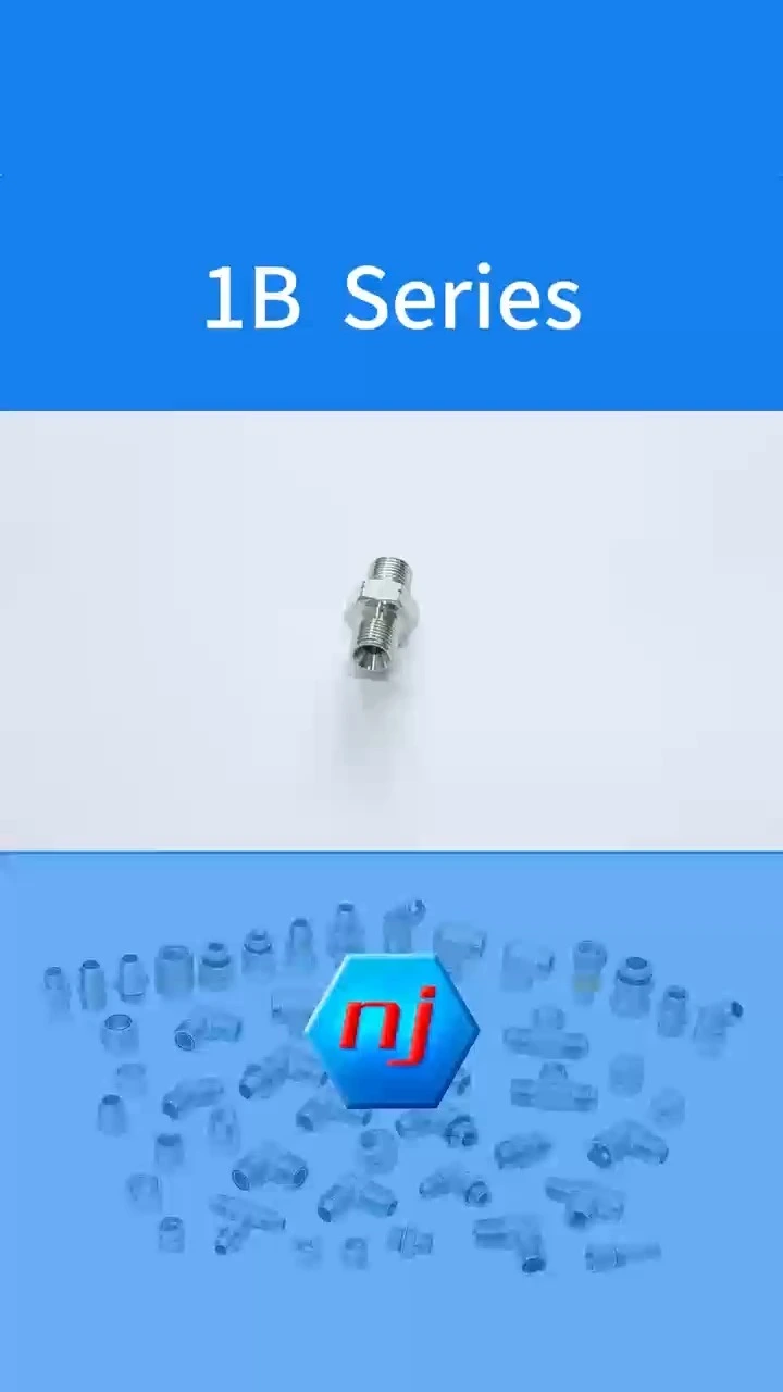 BSP-Stecker, 60°-Kegelsitz oder geklebter Dichtungsadapter 1B 1