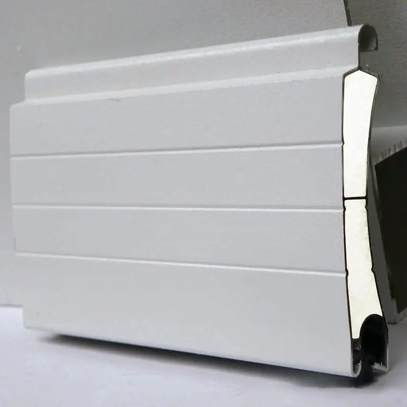 Custom Insulated Roller Shutter Doors Transparent 2