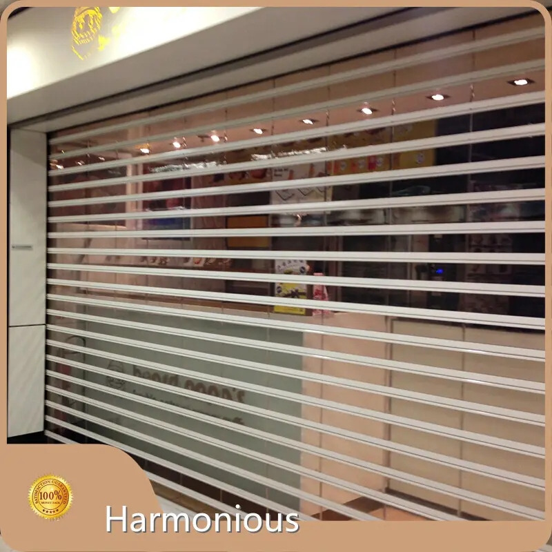 Custom Polycarbonate Roll Up Door Electric - 6m 1