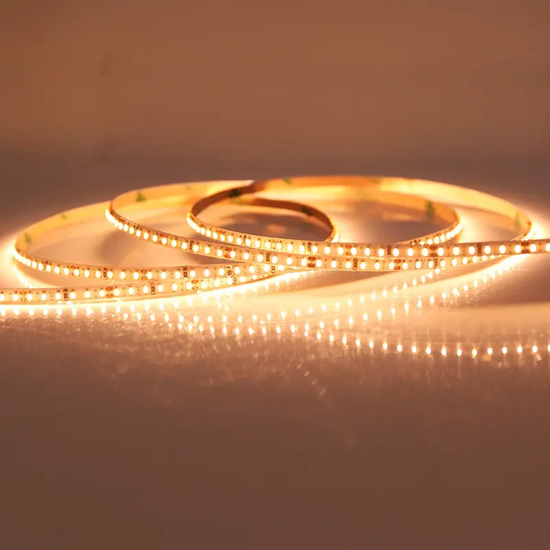 Installing Landscape Lighting -20~60 DC24 VHLighting Company 2