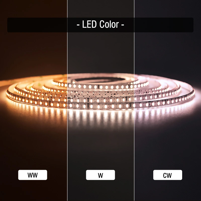 Installing Landscape Lighting -20~60 DC24 VHLighting Company 3