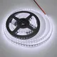 Pool Landscape Lighting 2450 36000hours 14W VHLighting Brand 3