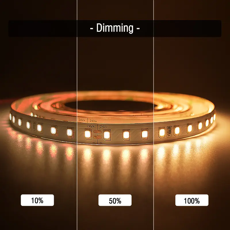 Pool Landscape Lighting 2450 36000hours 14W VHLighting Brand 5