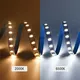 Line Voltage Landscape Lighting Price List | VH Smart Lighting 6