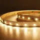 Backyard Landscape Lighting SMD2835 DC36 V Warranty VH Smart Lighting 2