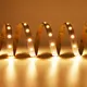 Backyard Landscape Lighting SMD2835 DC36 V Warranty VH Smart Lighting 3