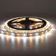 Quality VH Smart Lighting Line Voltage Landscape Lighting Brand VH-242-2835-300 2