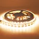 Installing Landscape Lighting for ,-20~60 120leds/m 4