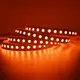 Hot Landscape Lighting Around Pool Blue and White Colors VH Smart Lighting Brand 5