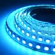 Hot Landscape Lighting Around Pool Blue and White Colors VH Smart Lighting Brand 4