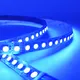 Hot Landscape Lighting Around Pool Blue and White Colors VH Smart Lighting Brand 3