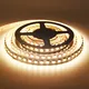 Hot Landscape Lighting Around Pool Blue and White Colors VH Smart Lighting Brand 2