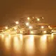 VH Smart Lighting Pool Landscape Lighting Brand Red VH-213-5050-300 Custom 9