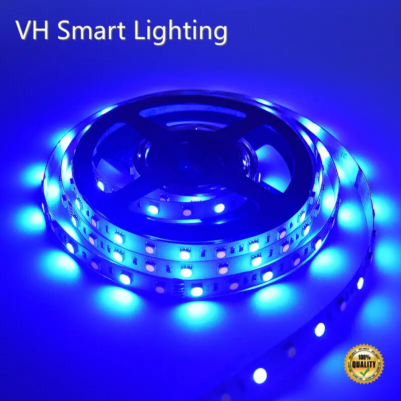 VH Smart Lighting Pool Landscape Lighting Brand Red VH-213-5050-300 Custom 1