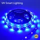 VH Smart Lighting Pool Landscape Lighting Brand Red VH-213-5050-300 Custom 1
