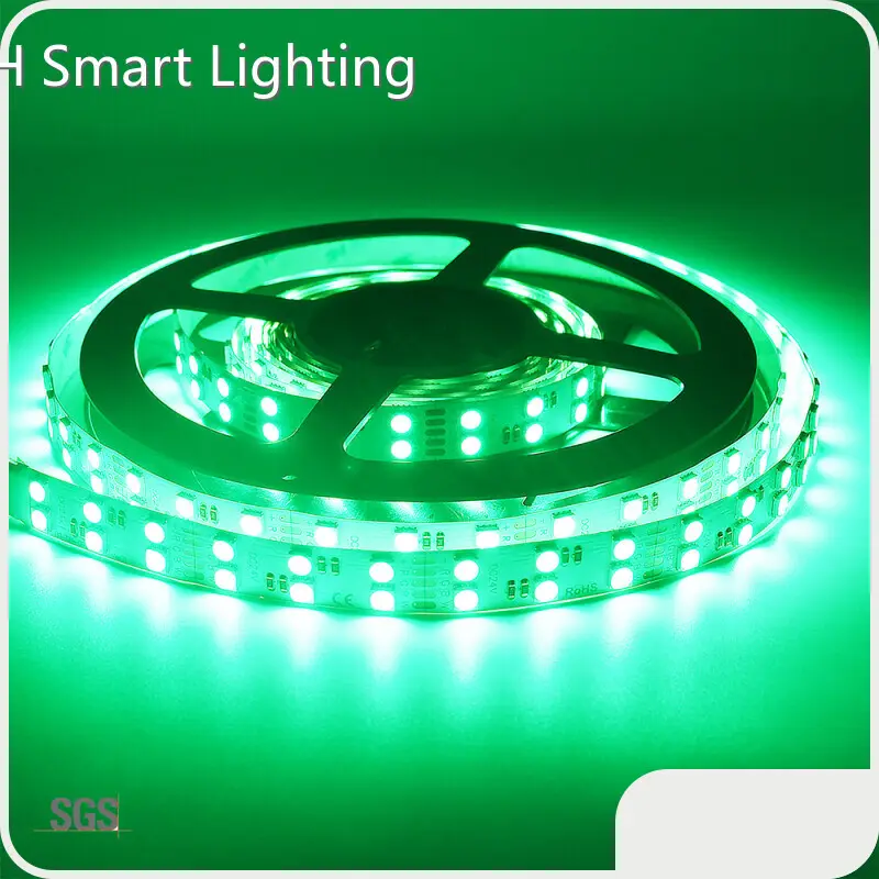 Installing Landscape Lighting for ,-20~60 120leds/m 1