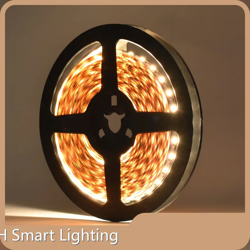 Smart Landscape Lighting VH-228-2835-500 Wholesale - VH Smart Lighting 1