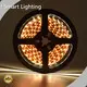 Bronze Landscape Lighting 36000hours Green Warranty VH Smart Lighting 1