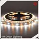 Quality VH Smart Lighting Line Voltage Landscape Lighting Brand VH-242-2835-300 1