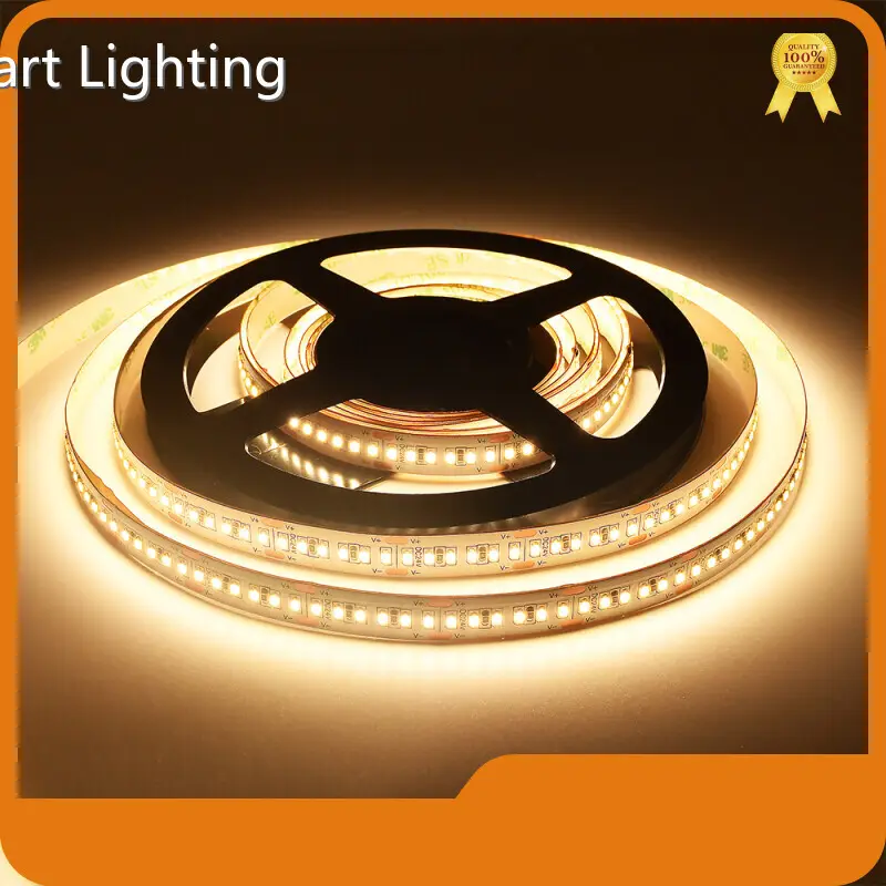 VH Smart Lighting Unique Landscape Lighting DC12 1