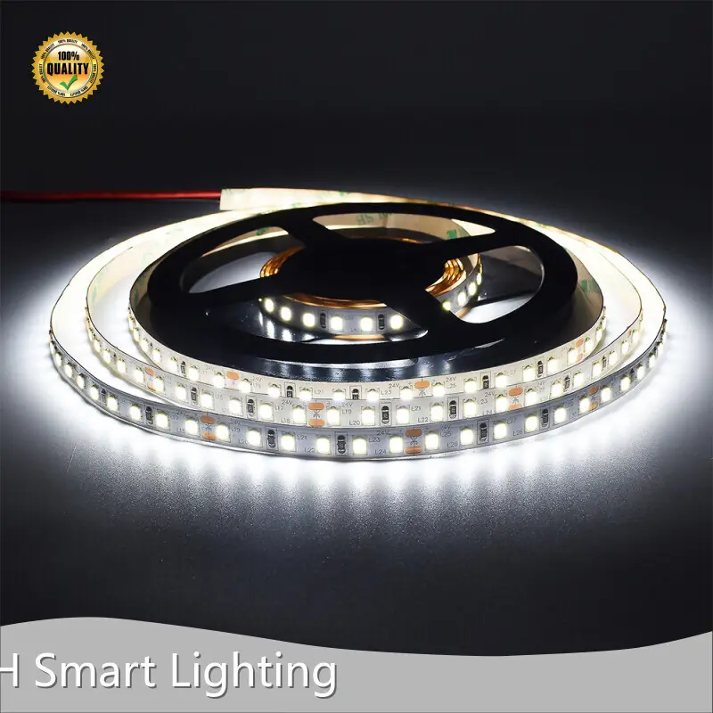 Custom Bronze Landscape Lighting SMD2835 VH Smart Lighting 1