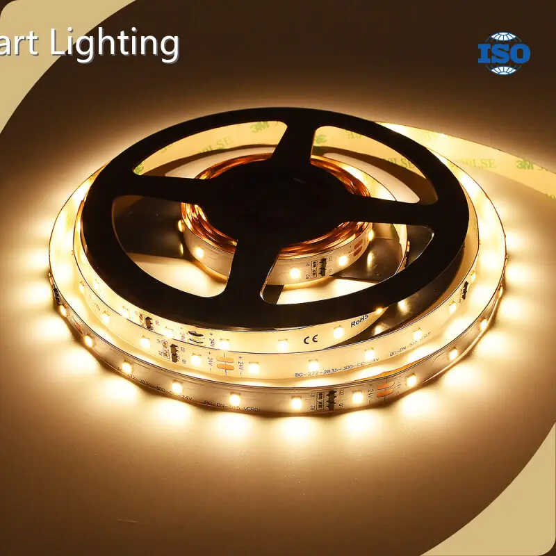 Backyard Landscape Lighting SMD2835 DC36 V Warranty VH Smart Lighting 1