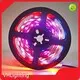 Moonlight Landscape Lighting VH-210B-5050-210-IC 36000hours 1