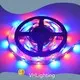 Home Landscape Lighting VHLighting Brand 36000hours -20~60 1