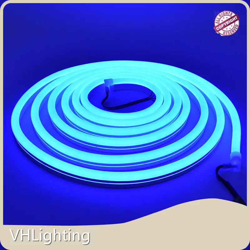 VHLighting Brand Residential Landscape Lighting Manufacture 36000hours 1