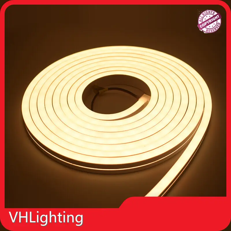 VHLighting Smart Outdoor Landscape Lighting - Side View 1