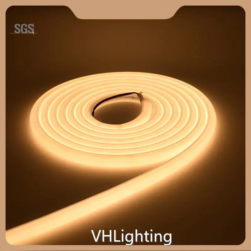 Wholesale Commercial Outdoor Lighting Manufacturers VHLighting Brand SMD2835 1