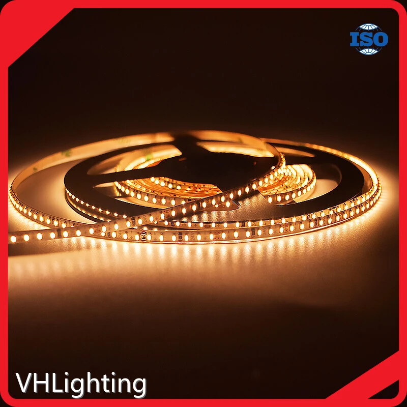 Installing Landscape Lighting -20~60 DC24 VHLighting Company 1