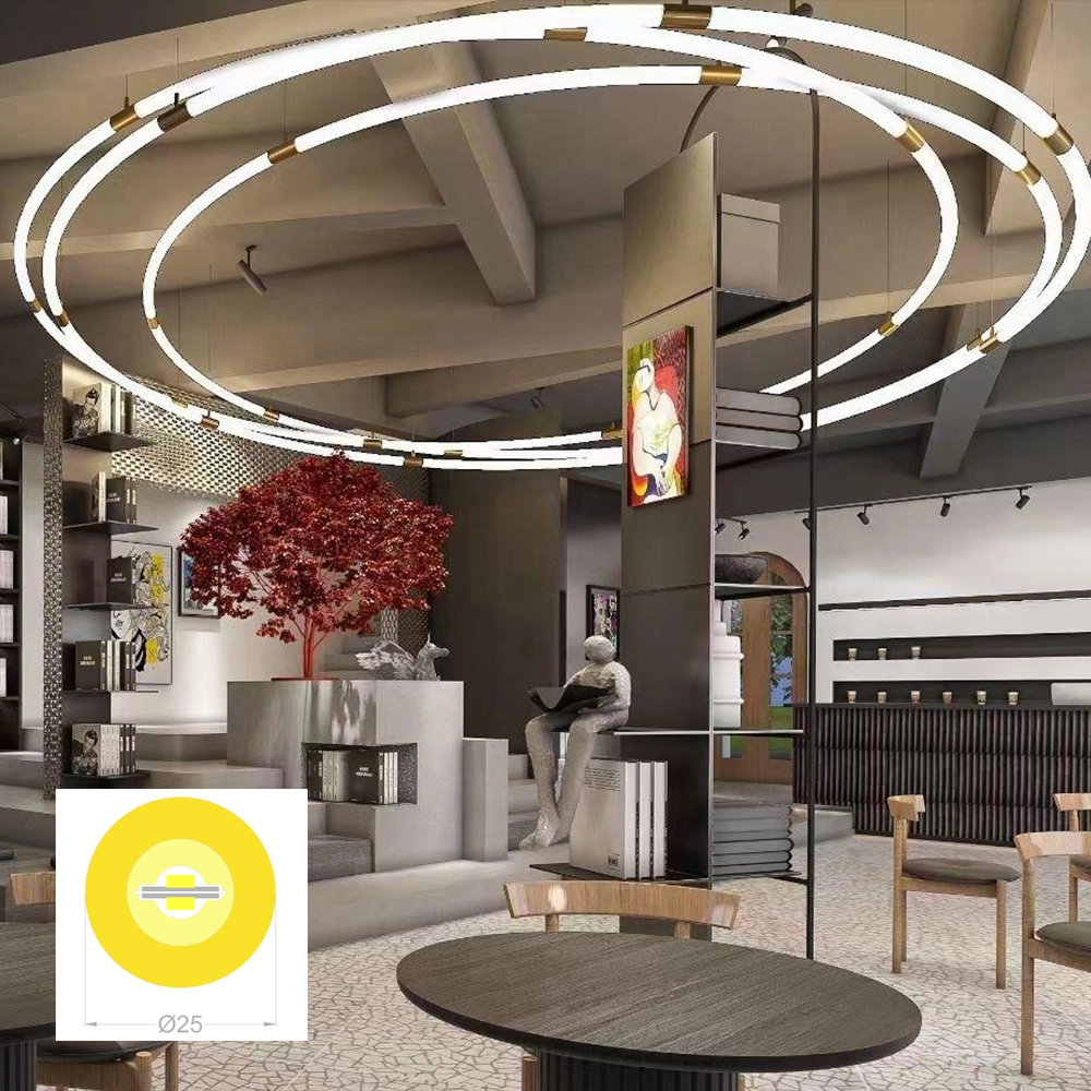 D25mm Round View LED Neon Strip VH-02HD2-D25 1