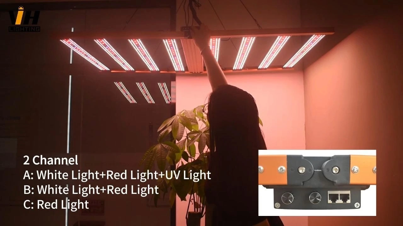 LED Grow Light-Eagle Series 1
