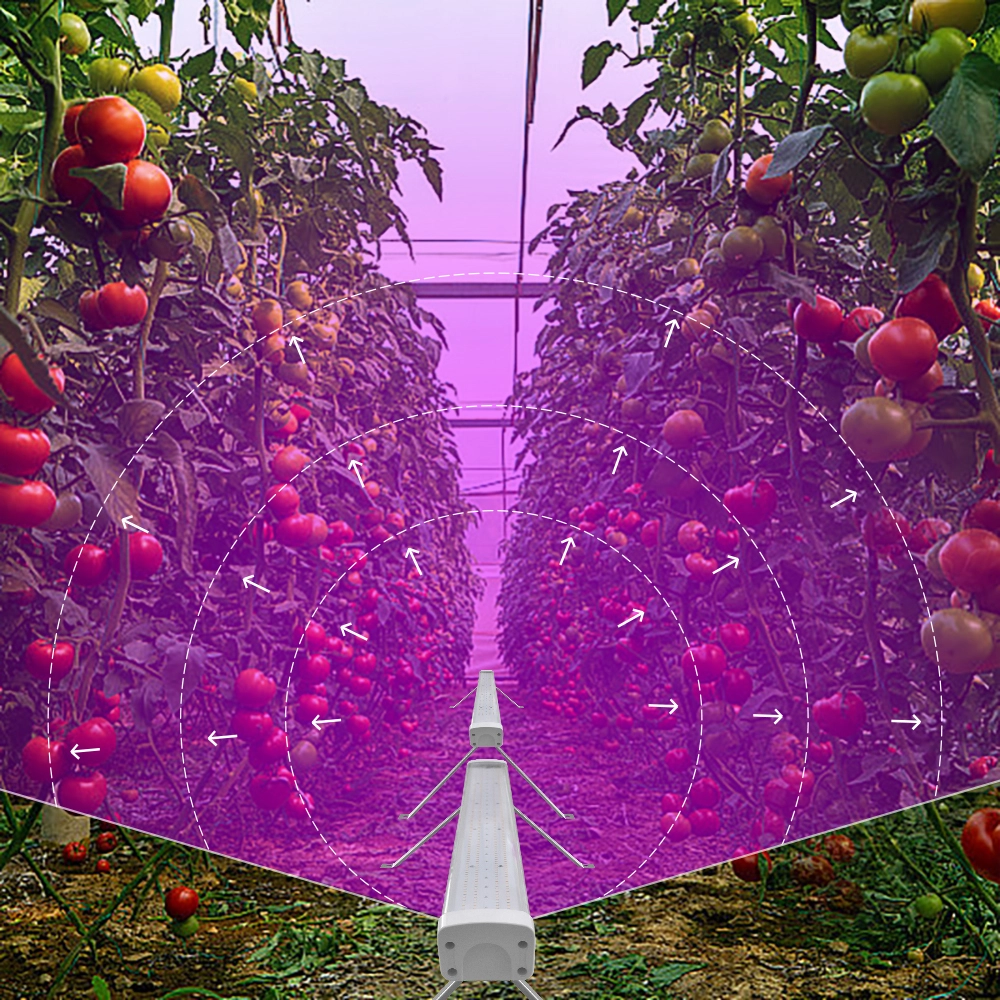 LED Grow Light-Lobra-A-100 1