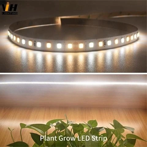 SMD2835 140LEDs Grow LED Strip Light  VH-311-2835-140-G2 1