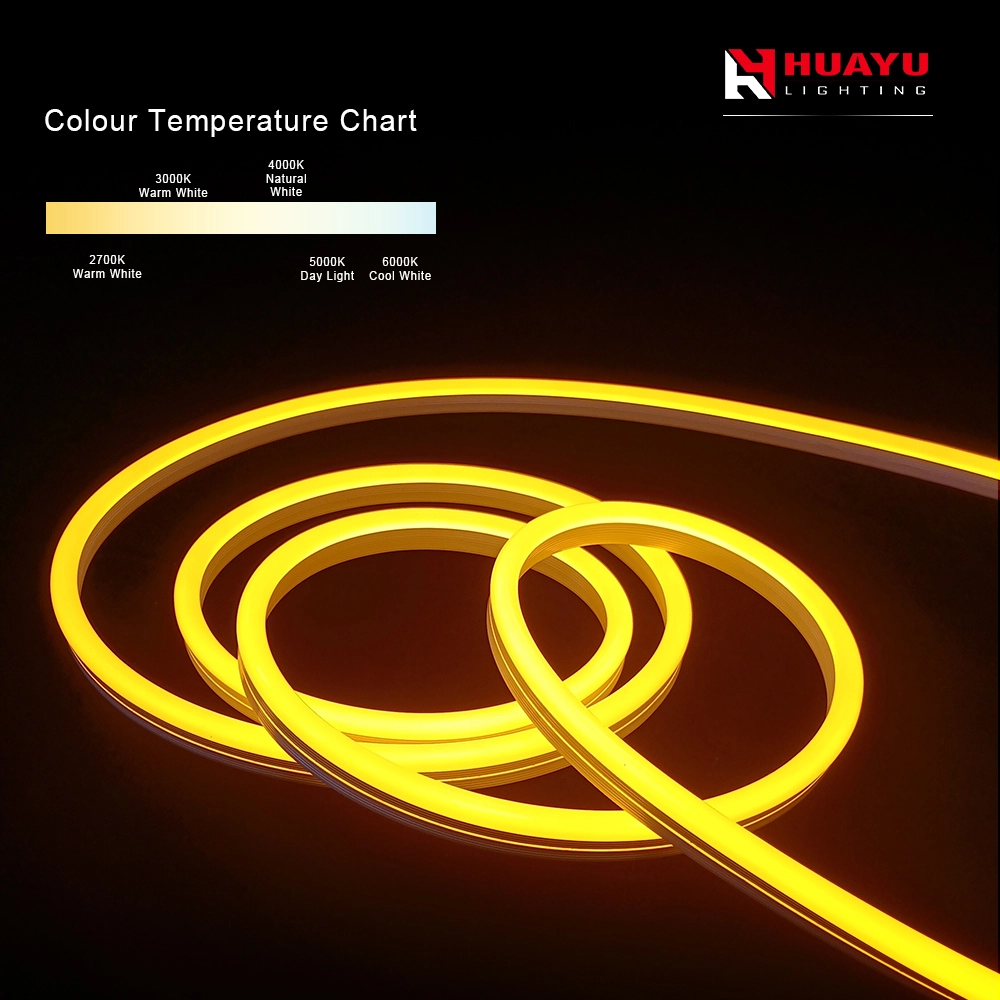 Tira de neón LED - 10X20 mm - dirección de curvatura vertical - un solo color 1