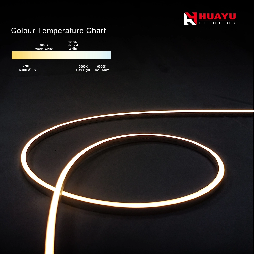 Bande Néon LED - 04X07mm - côté courbé verticalement - couleur unique 1