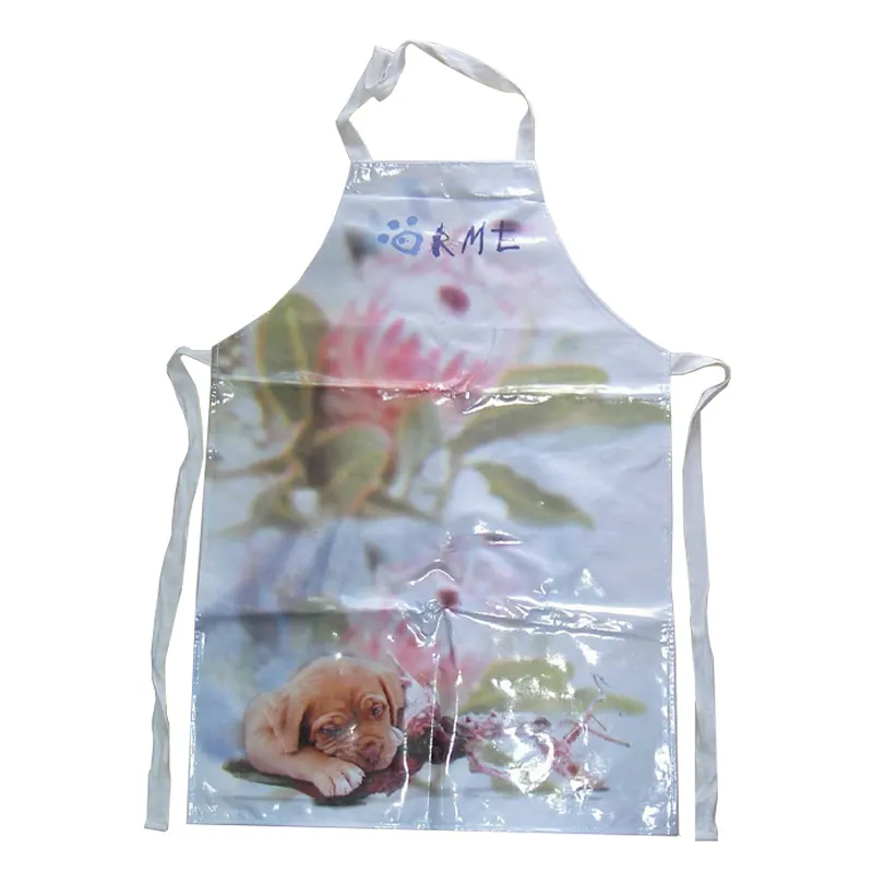 Hot Girls Cooking Apron Customized Logo Printed Congrong Brand 3