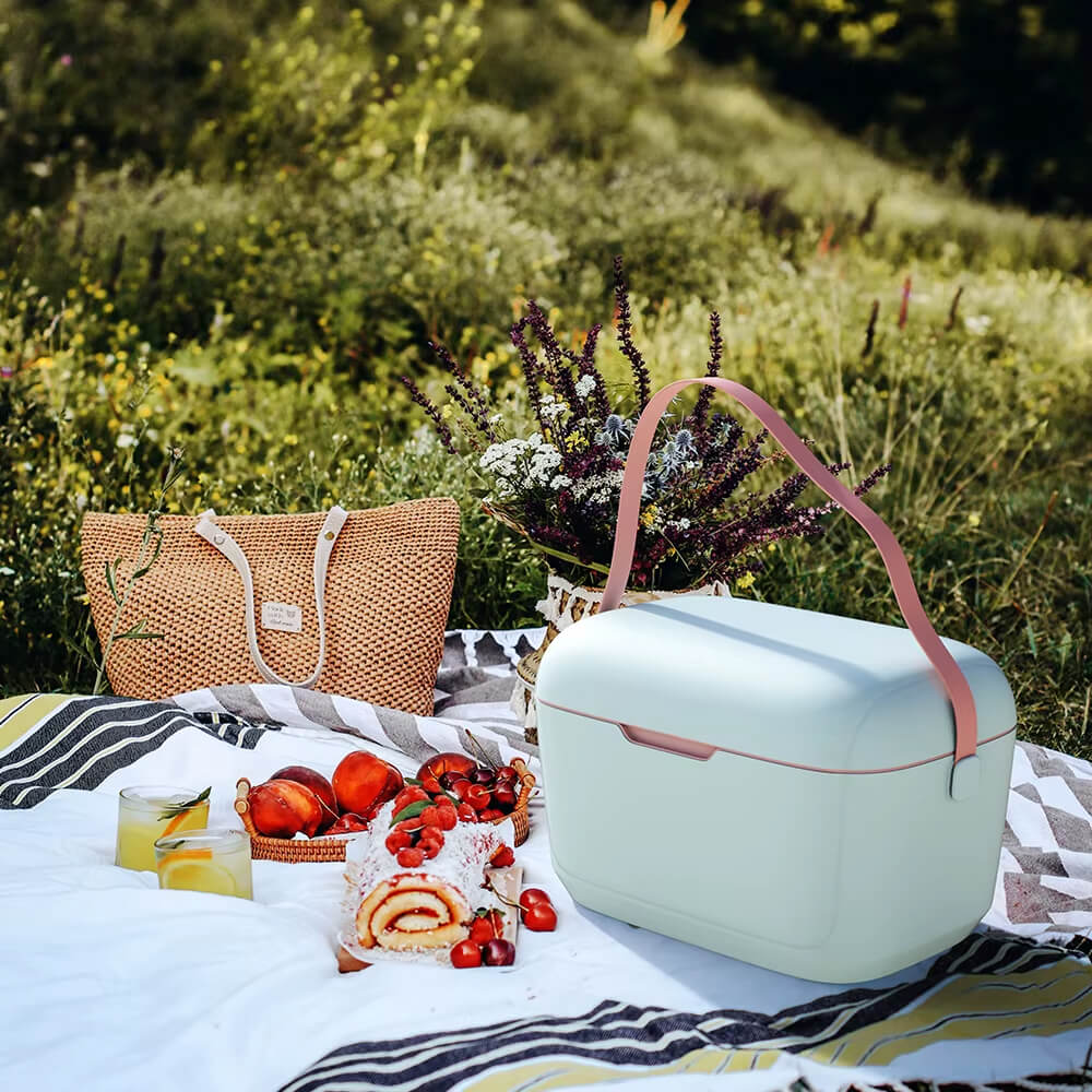 12QT Insulated Portable Cooler box 1