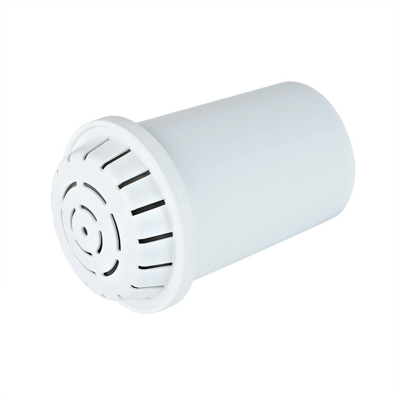 F004 Filtre d'élimination des bactéries BacFilter pour pichets 1