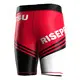 Rise Sportswear New Vale Tudo Fight Shorts Manufacturers 5