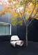 Home Furniture Factory Living Room Chair by HENYANG 5