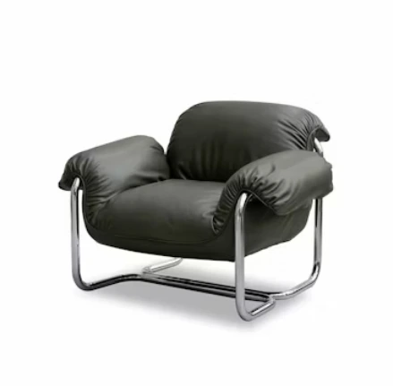 Nordic Modern Minimalist High-End Single Leisure Chair Black Home Furniture for Living Room Villa Creative Designer 1