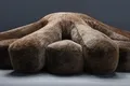 Sofa Manufacturer Modern by HENYANG 5