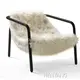 Modern Lounge Chairs for Living Room Home Furniture - - HENYANG 1