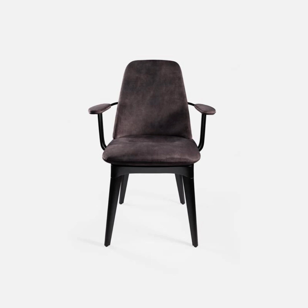 Vintage High Back Leisure Chair with Exquisite Luxury and Retro Comfort 1