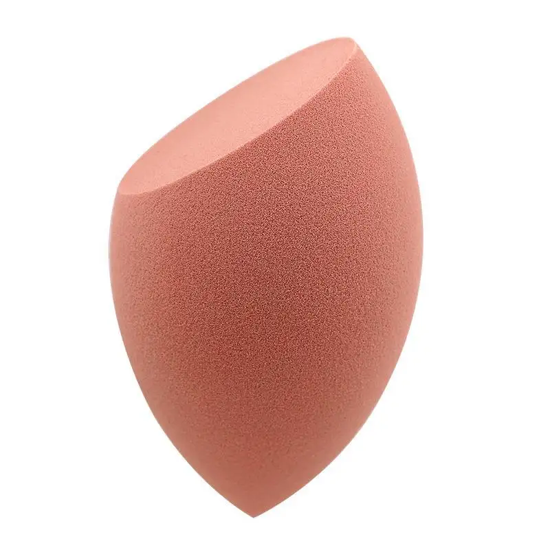 Big Beauty Sponge 1